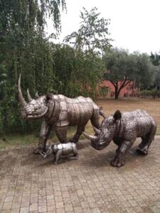 Articolo di Art & Investments su Safari in centro a Frascati